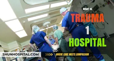Understanding Trauma 1 Hospitals: Comprehensive Care for Critical Injuries