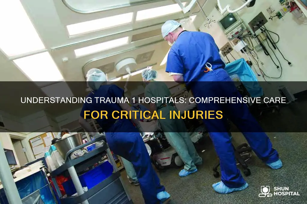 what is trauma 1 hospital