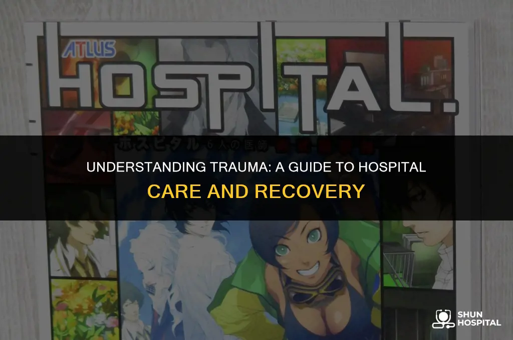 what is trauma 2 hospital