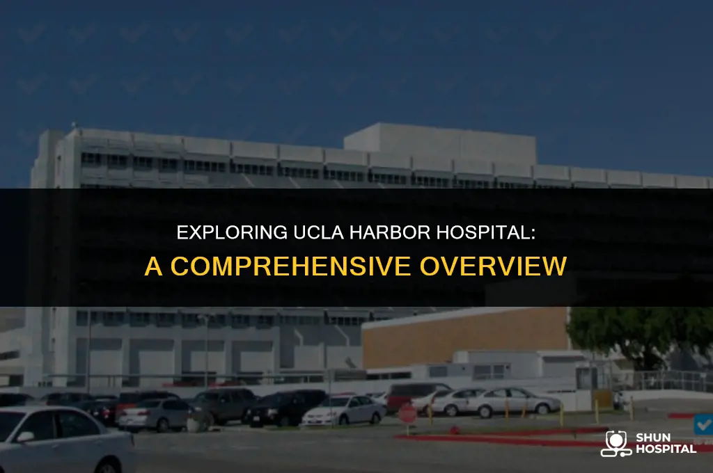 what is ucla harbor hospital