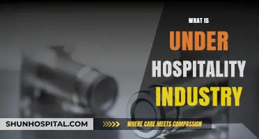 Exploring the Depths: What Lies Beneath the Hospitality Industry