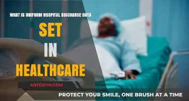 Understanding the Uniform Hospital Discharge Data Set in Healthcare