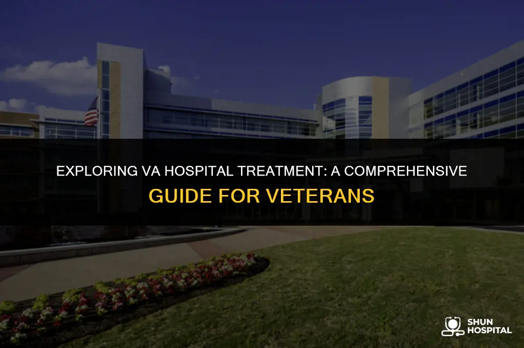 what is va hospital treatment