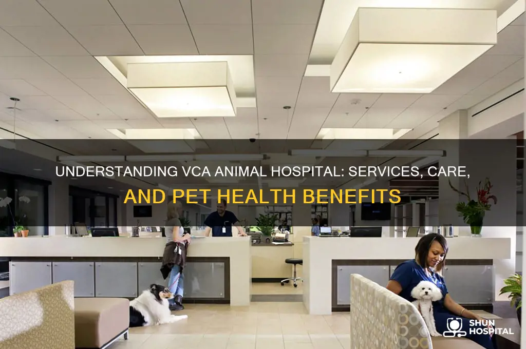 what is vca animal hospital