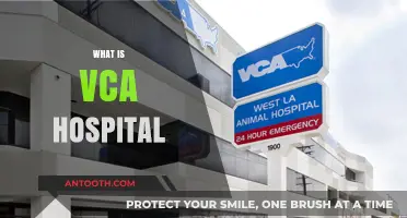 Understanding VCA Hospitals: Your Guide to Veterinary Care Associates
