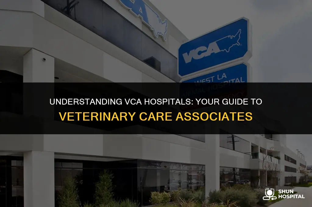 what is vca hospital