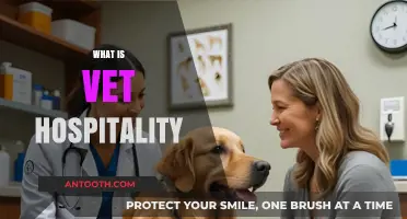 Exploring Veterinary Hospitality: Compassion and Care for Animal Patients