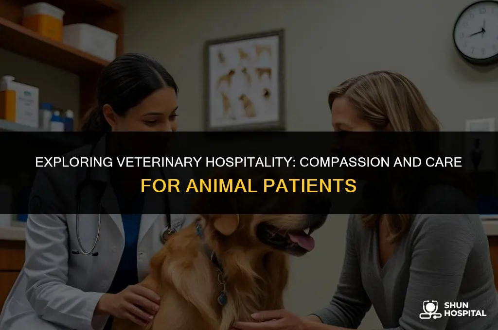 what is vet hospitality