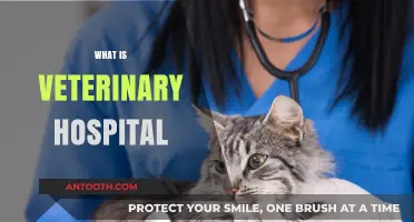 Exploring Veterinary Hospitals: A Comprehensive Guide for Pet Owners