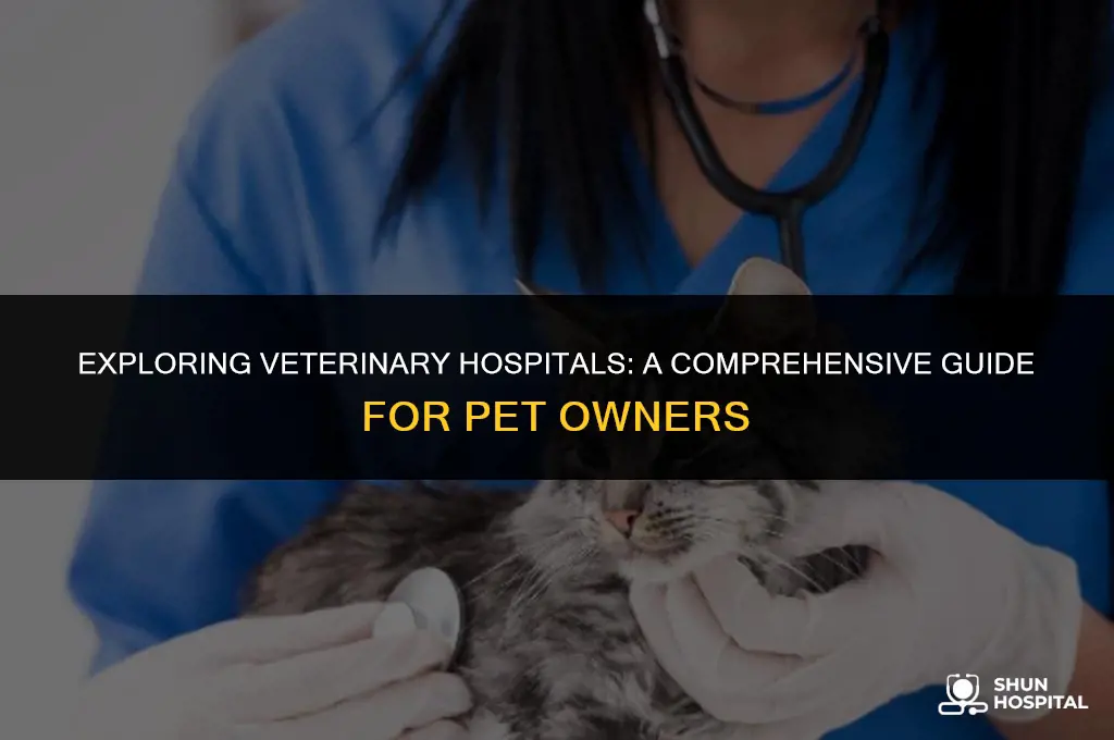 what is veterinary hospital