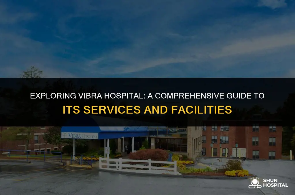 what is vibra hospital