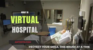 Exploring the Future of Healthcare: What is a Virtual Hospital?