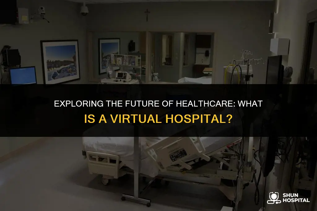 what is virtual hospital