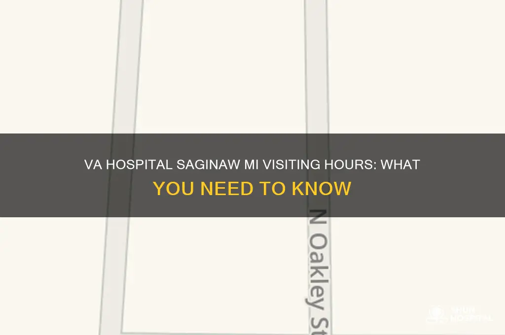 what is visiting hours for va hospital saginaw mi
