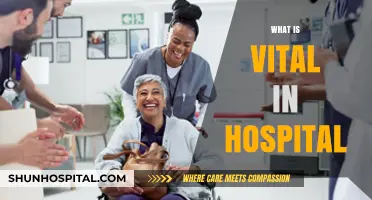 Essential Elements for Optimal Hospital Care and Patient Safety