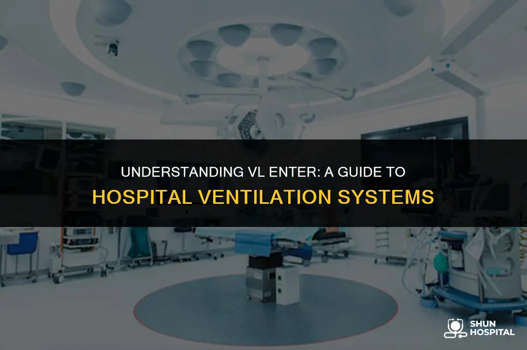 what is vlenter in hospital