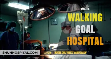 Striding Towards Health: Understanding Walking Goals in Hospital Care