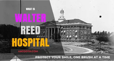 Exploring Walter Reed Hospital: A Comprehensive Guide to its History and Services