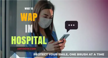 Exploring WAP: Enhancing Healthcare Communication in Hospitals