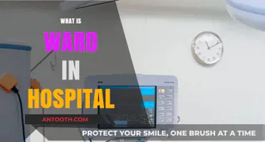 Understanding Hospital Wards: A Comprehensive Guide for Patients and Visitors