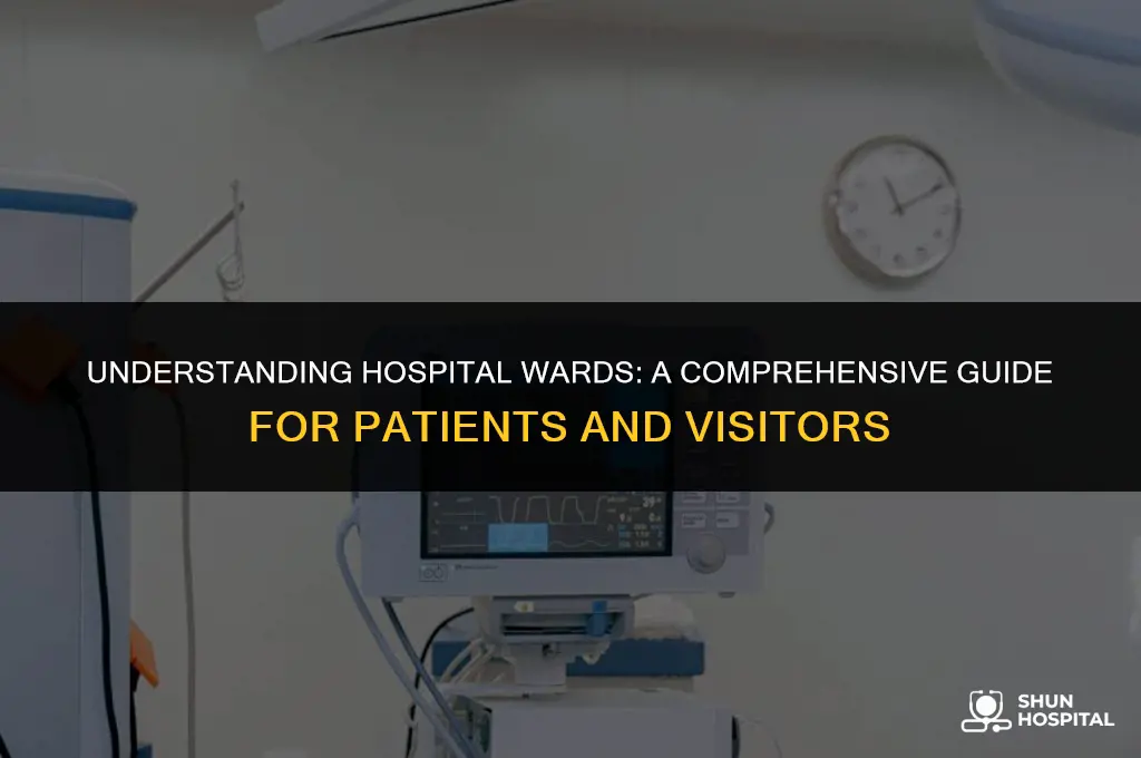 what is ward in hospital