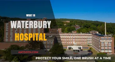Exploring Waterbury Hospital: Services, History, and Community Impact