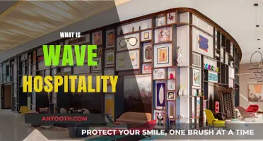 Exploring the Essence of Wave Hospitality: A Comprehensive Guide
