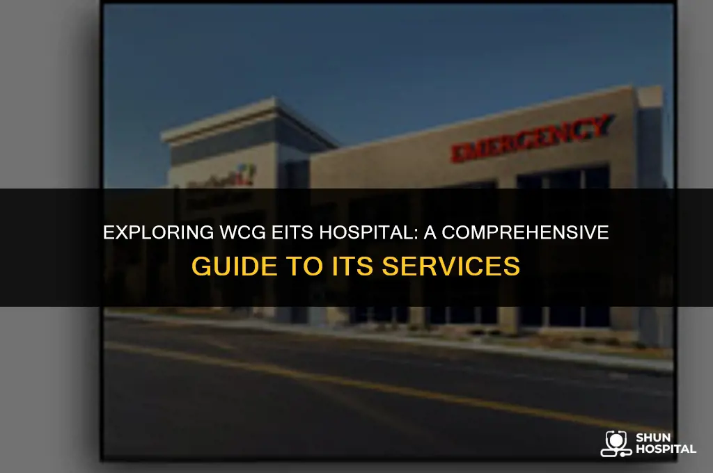 what is wcg eits hospital