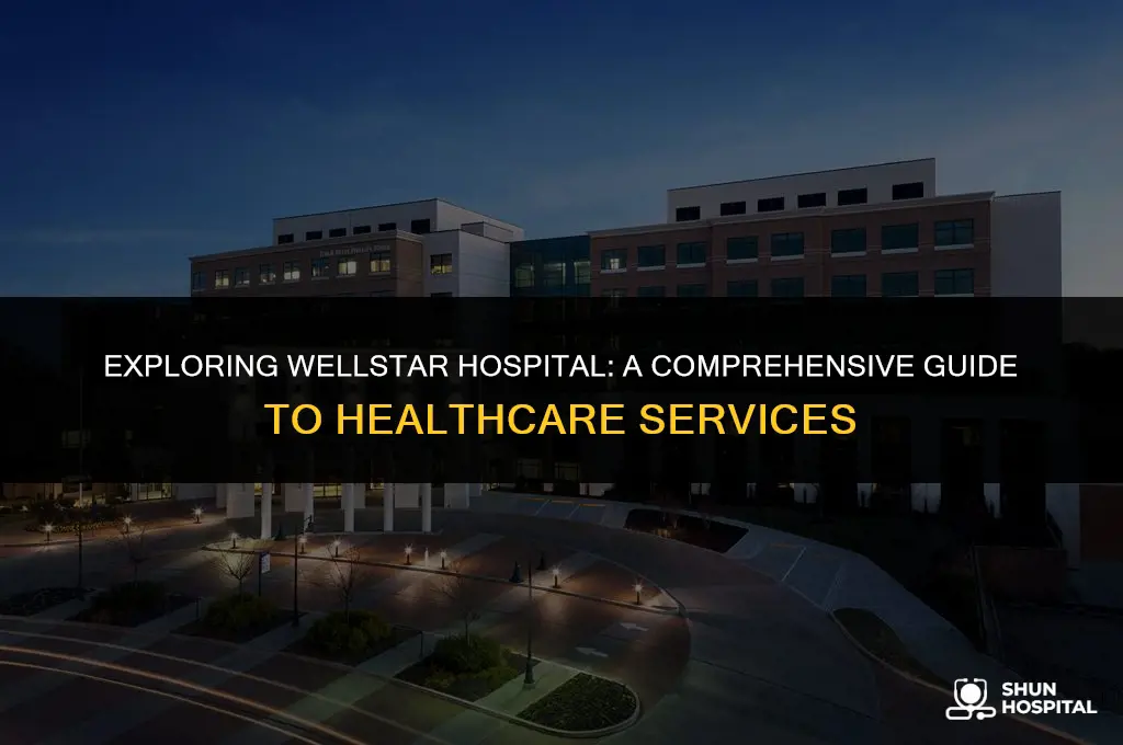 what is wellstar hospital