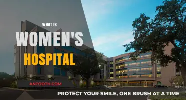 Understanding Women's Hospitals: A Comprehensive Guide to Specialized Care