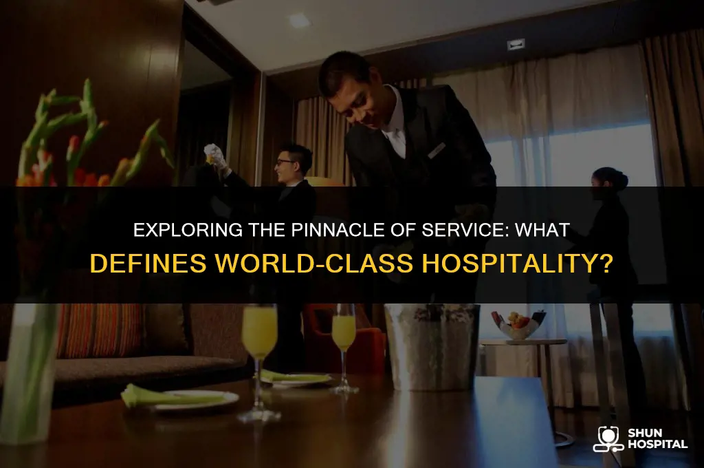 what is world class hospitality