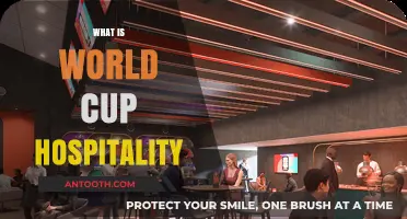 Exploring the Vibrant World of FIFA World Cup Hospitality