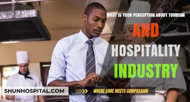 Exploring Tourism and Hospitality: Shaping Perceptions, Experiences, and Industry Insights