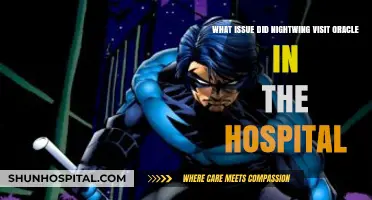 Nightwing's Hospital Visit: Oracle's Health Crisis Explained