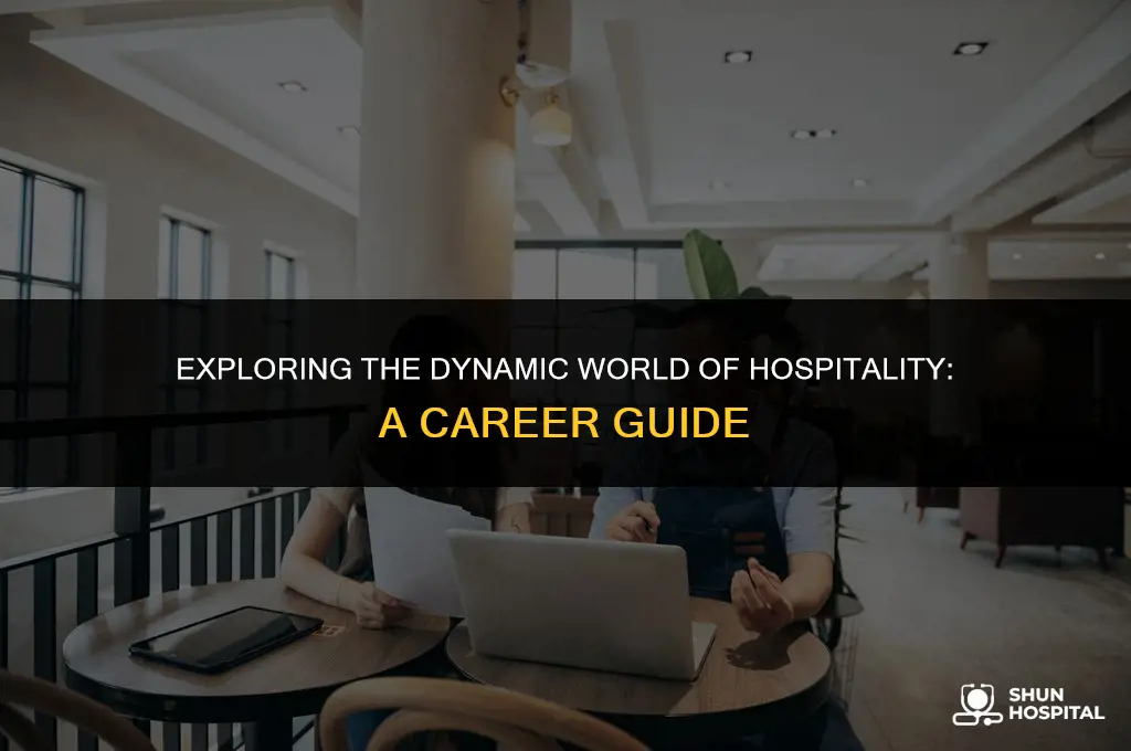 what job is hospitality