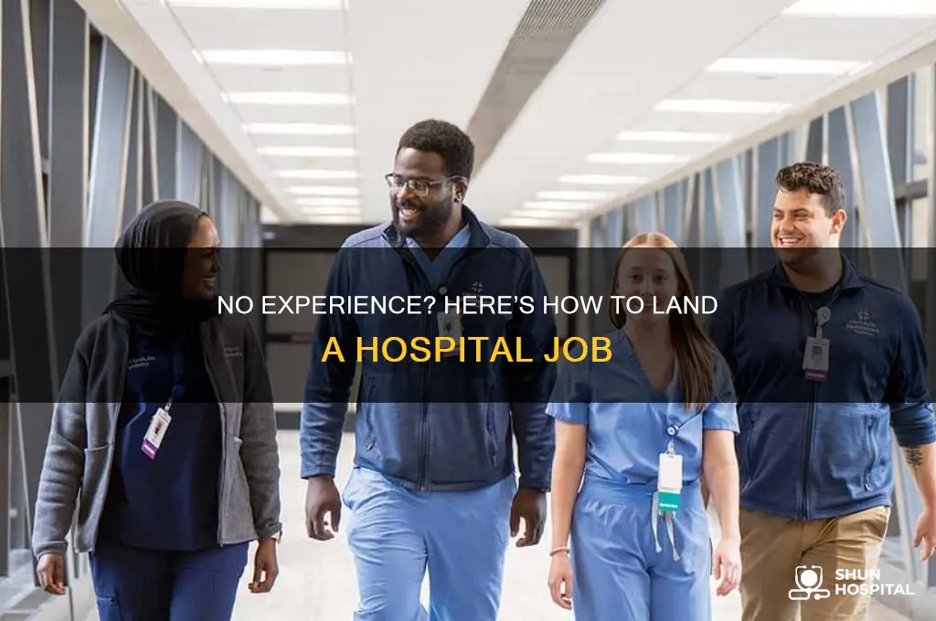 what job to apply for with no experience hospital
