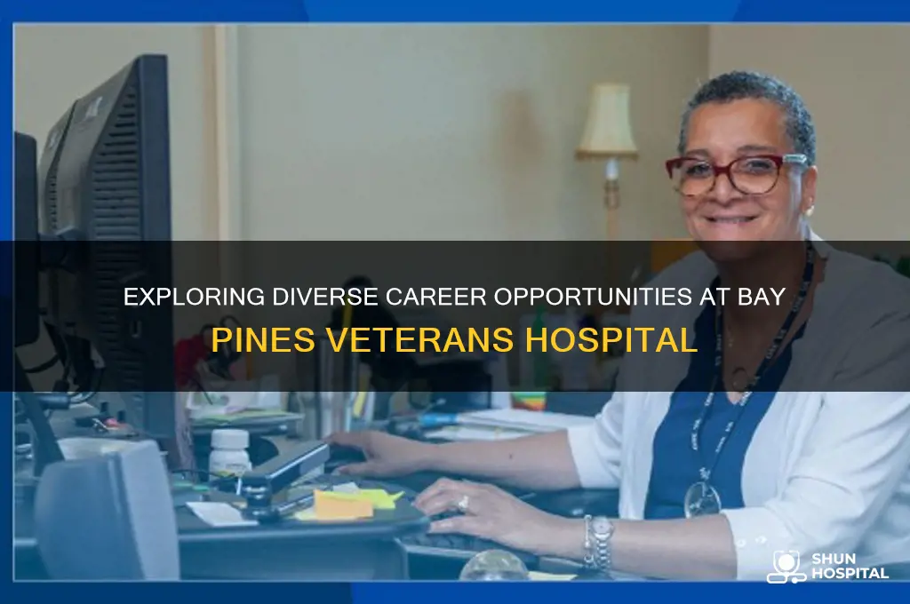 what jobs are available in bay pines veterans hospital