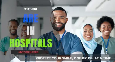 Exploring the Diverse Career Opportunities Within Hospital Settings