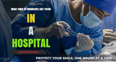 Exploring the Diverse Branches and Departments in a Modern Hospital