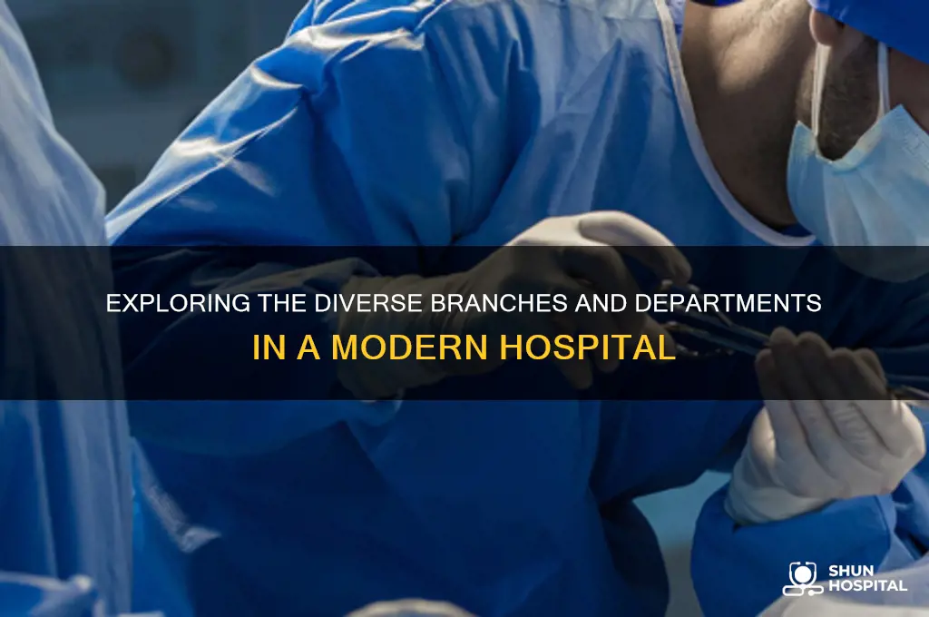 what kind of branches are there in a hospital