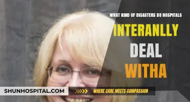 Hospitals' Hidden Crises: Navigating Internal Disasters Beyond Patient Care