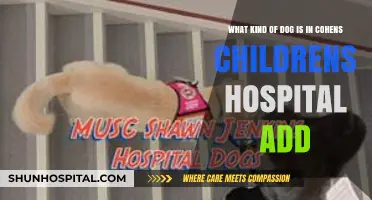 Meet the Adorable Dog Star of Cohen Children's Hospital Ad