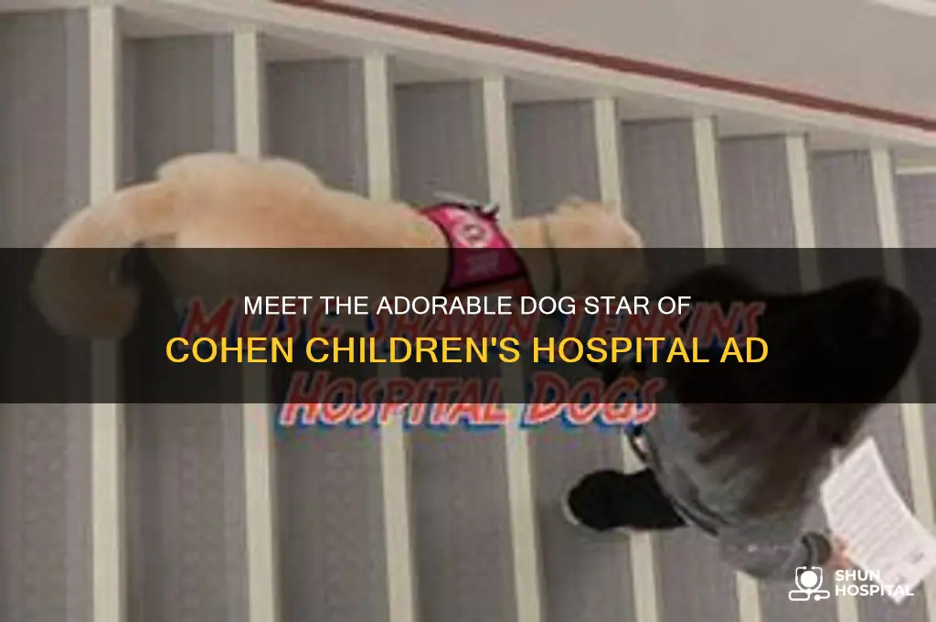 what kind of dog is in cohens childrens hospital add