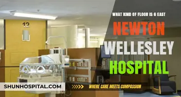 Exploring 6 East Newton Wellesley Hospital's Flooring Type and Features