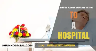 Avoid These Flowers: Hospital-Unfriendly Blooms and Their Hidden Risks