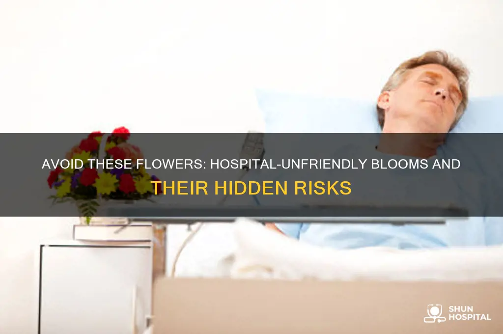 what kind of flower shouldnt be sent to a hospital