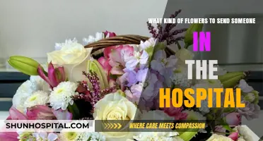 Brighten Their Stay: Best Flowers to Send Hospital Patients