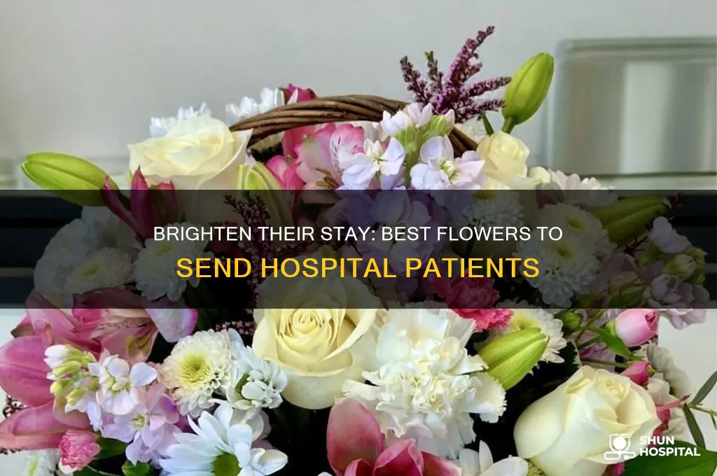 what kind of flowers to send someone in the hospital