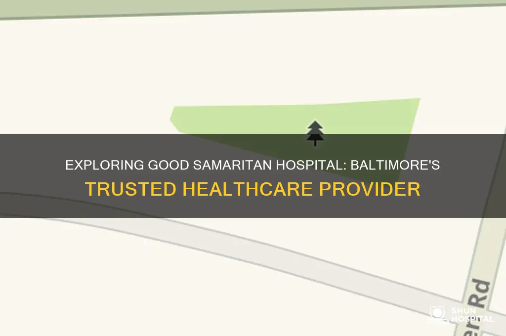 what kind of hospital is good samaritan in baltimore