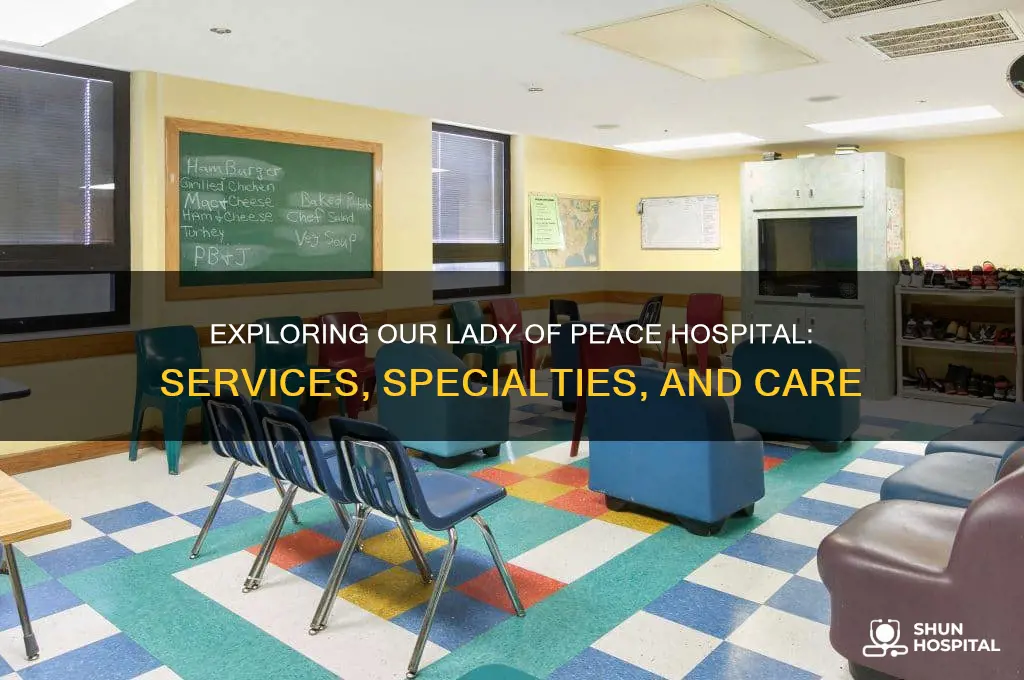 what kind of hospital is our lady of peace hospital